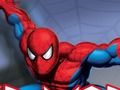 Παιχνίδι Spider πολεμιστής  σε απευθείας σύνδεση