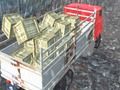 Παιχνίδι Οδηγός φορτηγού εκτός δρόμου σε απευθείας σύνδεση