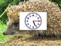 Παιχνίδι Puzzle Pics Ρολόγια  σε απευθείας σύνδεση