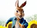 Παιχνίδι Peter Rabbit: Trouble in the Maze  σε απευθείας σύνδεση