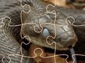 Παιχνίδι Mysterious Snakes: Puzzle  σε απευθείας σύνδεση