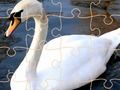 Παιχνίδι Προκλήσεις Παζλ Κύκνου σε απευθείας σύνδεση