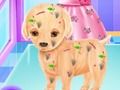 Παιχνίδι Μωρό Έλσα Χειρουργική Π puppy σε απευθείας σύνδεση