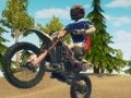 Παιχνίδι Ποδήλατο ποδηλάτων με βρωμιά enduro σε απευθείας σύνδεση