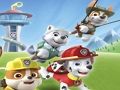 Παιχνίδι Χρωματισμός Paw Patrol  σε απευθείας σύνδεση