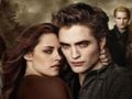 Παιχνίδι Συλλογή παζλ Twilight Jigsaw  σε απευθείας σύνδεση