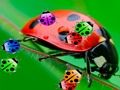 Παιχνίδι Match Ladybug3 σε απευθείας σύνδεση