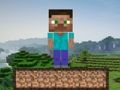Παιχνίδι Minecraft Survival  σε απευθείας σύνδεση