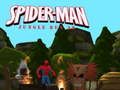 Παιχνίδι 3D Jungle Run 3d Spider-Man σε απευθείας σύνδεση