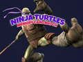 Παιχνίδι Ταίριασμα κάρτας μνήμης Ninja Turtles  σε απευθείας σύνδεση