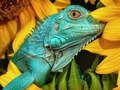 Παιχνίδι Ultimate Puzzles Animals 6 σε απευθείας σύνδεση