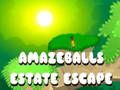 Παιχνίδι Amazeballs Escape Escape  σε απευθείας σύνδεση