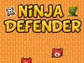 Παιχνίδι Αμυντικός ninja σε απευθείας σύνδεση