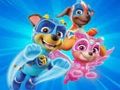 Παιχνίδι Βιβλίο ζωγραφικής για το Paw Patrol  σε απευθείας σύνδεση