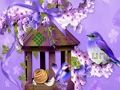 Παιχνίδι Υπέροχο Humming Bird Land Escape  σε απευθείας σύνδεση