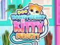 Παιχνίδι Doc Honeyberry Kitty χειρουργική επέμβαση σε απευθείας σύνδεση