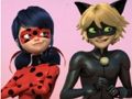 Παιχνίδι Παζλ Miraculous Ladybug & Cat Noir  σε απευθείας σύνδεση