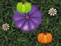 Παιχνίδι Χρώμα Pumpkin Match  σε απευθείας σύνδεση