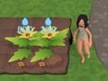Παιχνίδι Garden Rush. Απόδραση λαχανικών  σε απευθείας σύνδεση
