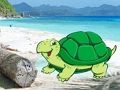Παιχνίδι Απόδραση ζεύγους καβουριών στην παραλία  σε απευθείας σύνδεση