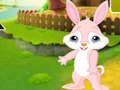 Παιχνίδι Βρείτε το Buddy Rabbit  σε απευθείας σύνδεση