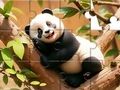 Παιχνίδι Παζλ: Panda On Tree  σε απευθείας σύνδεση