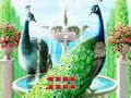Παιχνίδι Αποδράστε από το Peacock Land σε απευθείας σύνδεση