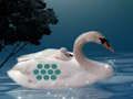 Παιχνίδι Αποθηκεύστε το παιδί της μητέρας Swan σε απευθείας σύνδεση