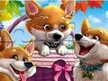 Παιχνίδι Παζλ: Αστεία Corgis  σε απευθείας σύνδεση