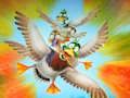 Παιχνίδι Μετανάστευση Flappy Duck  σε απευθείας σύνδεση