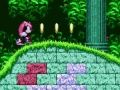Παιχνίδι Mighty & Ray στο Sonic 2  σε απευθείας σύνδεση