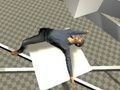 Παιχνίδι Τεστ Ragdoll  σε απευθείας σύνδεση