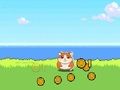 Παιχνίδι Hamster Kombat Clicker σε απευθείας σύνδεση