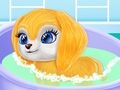 Παιχνίδι Baby Taylor Life Diary σε απευθείας σύνδεση
