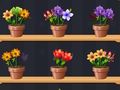 Παιχνίδι Καλό Flower Master  σε απευθείας σύνδεση