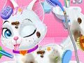 Παιχνίδι Μωρά Ζώα Pet Vet Care  σε απευθείας σύνδεση