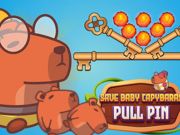 Παιχνίδι Αποθηκεύστε το PIN PLAN BABY CAPYBARAS σε απευθείας σύνδεση