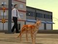 Παιχνίδι Προσομοιωτής Cat City σε απευθείας σύνδεση