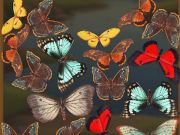 Παιχνίδι MergeButerfly: 2048! σε απευθείας σύνδεση