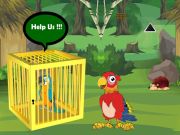 Παιχνίδι Απελευθερώστε παγιδευμένη φίλη Macaw σε απευθείας σύνδεση