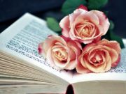 Παιχνίδι Βιβλίο των Blooms Jigsaw σε απευθείας σύνδεση