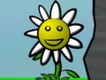 Flower Power — δωρεάν online παιχνίδι