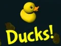 Ducks! — δωρεάν online παιχνίδι