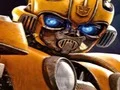 Bumblebee Hidden Spots — δωρεάν online παιχνίδι