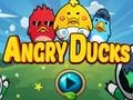 Angry Ducks — δωρεάν online παιχνίδι