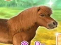 My Dear Pony — δωρεάν online παιχνίδι