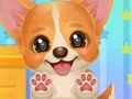 Adopt Your Pet Puppy — δωρεάν online παιχνίδι