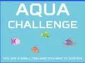 Aqua Challenge — δωρεάν online παιχνίδι