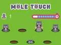Pole Touch — δωρεάν online παιχνίδι