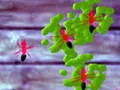 Smash Ants — δωρεάν online παιχνίδι